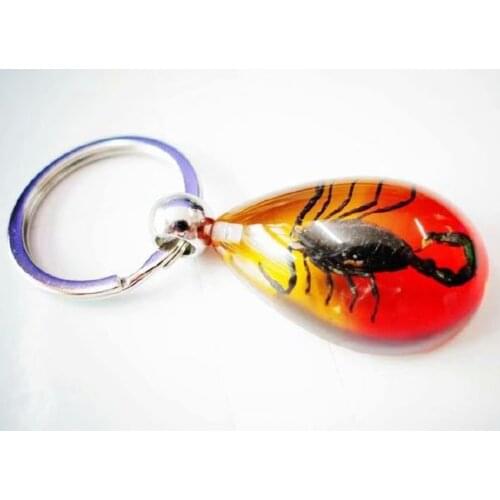 10 pcs keychain real black scorpion king colorful drop design key ring
