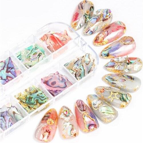 12Grids Nail Abalone Shell Fragments Texture Irregular Natural Sea Shell Slice Charm Nail Stone Decoration Nail Art Paillete