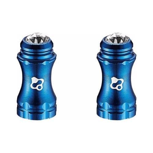 FOURIERS 2Pcs Mountain Bicycle Valve Cap VL-PE004 Aluminium Alloy AL6061-T6 Road Bicycle Accessories Tyre Tube French Valve Caps