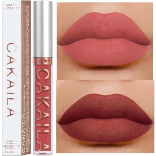 36 Colors Lip Gloss Lipstick New Arrivals Matte Velvet Cosmetics Gift Long-Lasting Waterproof Women Sexy Maquillage TSLM1