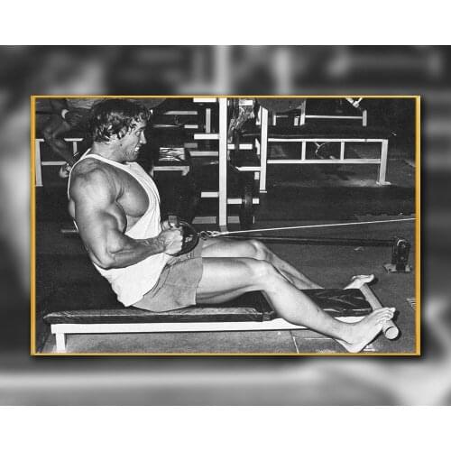 40 Custom Poster Silk Home Deco ARNOLD SCHWARZENEGGER Bodybuilding Motivational Gigantic Strong Wall Art Christmas Gift