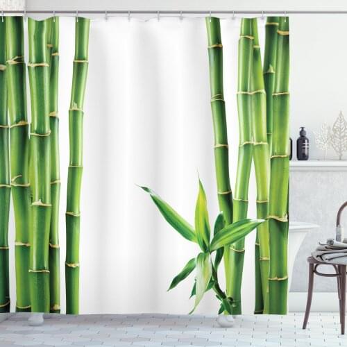 Simplistic Bamboo Shower Curtain Set 3D Frame Branches on Sides Drape for Bathroom 12 Hooks Cortinas de Baño וילון אמבטיה
