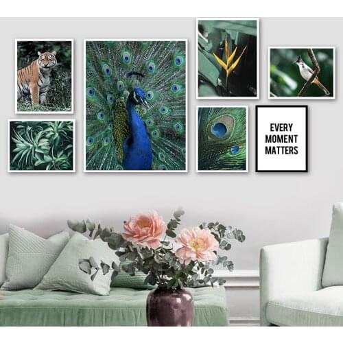 Peacock Tiger Bird Tropical Jungle Animal Wall Art Canvas Painting Nordic Posters And Prints Wall Pictures For Living Room Decor