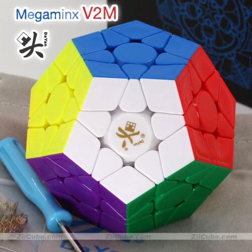 Dayan Magnetic Megamin Cube 3x3 V2M Magnet Dodecahedron Stickerless Megaminxeds Professional Decompression toy Twist Wisdom Game