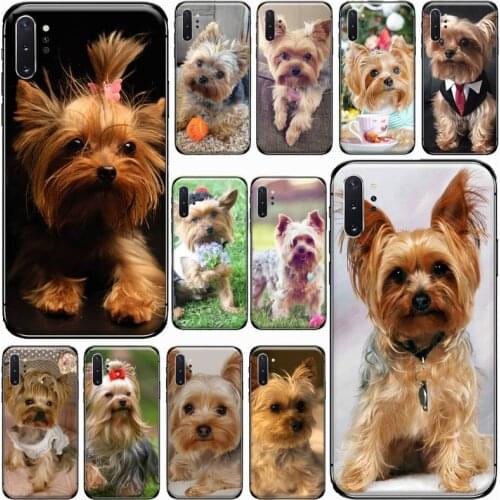 Mini Yorkshire Terrier Dog Phone Case For Samsung Galaxy S8 S9 S10 Plus S10E Note 3 4 5 6 7 8 9 10 Pro Lite cover