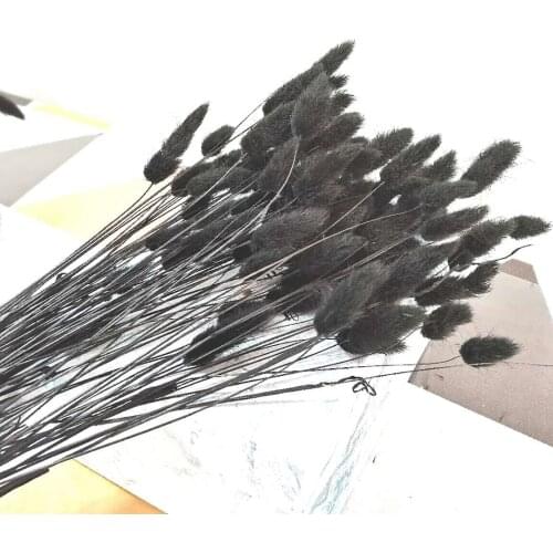 20PC Dried Flowers Pampas Grass Black Rabbit Tail Grass Artificial Bouquet Nordic Style Home Bedroom Decor Party Decoration DIY
