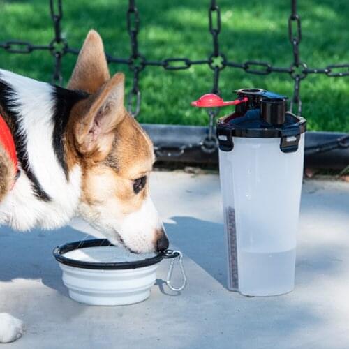 Portable Dog Feeder Folding Food Bowl Drinking Bottle Set with Hook Outdoor Travel Large Capacity Water Eating Dish for Pets Cat