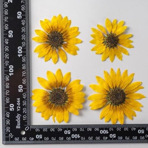 60pcs 6-10cm Pressed Dried Flower Sunflower Herbarium Epoxy Resin Bookmark Prop Jewelry Postcard Invitation Card Phone Case DIY