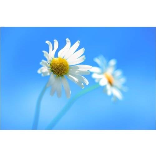 Flowers Natural Scenery Photography Background Vintage Canvas Painting Baby Photo Backdrop Studio Props Wedding Party Home Decor