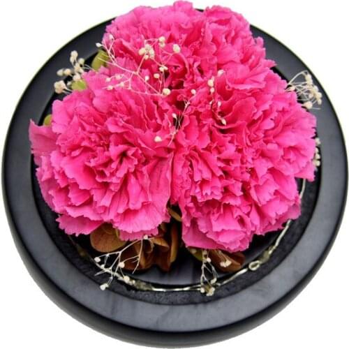 Nature Dried Flower Preserved Fresh Rose Carnation Home Decor Mothers Day Gift Wedding Decoration Christmas Natale Decorazioni