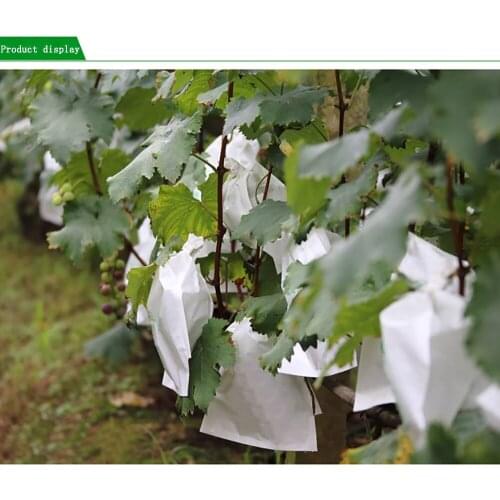 Biodegradable Nonwoven Fabric Nursery Plant Grow Bags Seedling Growing Planter Planting Pots Garden Eco-friendly Ventilate Bag
