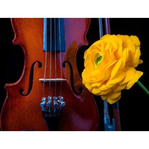 Violin and flower Flag custom hobby business history music rock banner 90x150cm
