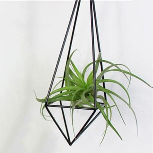Metal Pot Rack Flower Container Terrarium Box Moss Fern Pot Decor Vintage Freestanding Hanging Geometric Tillandsia Flower Plant
