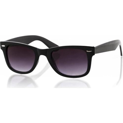 Unisex Black Sunglasses 2908893