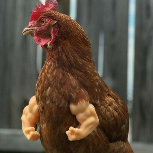 Chicken Wear Muscle Black Chicken Arms Funny Decoration Arm Gift Prank White Chicken Fist Accessories G2Q8