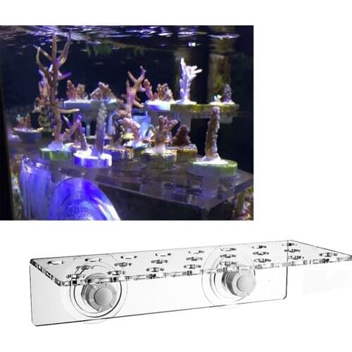 Coral Bracket .SPS Plug. Acrylic aquarium salt water sea water sps coral frag holes bracket fish tank marine tank coral holder
