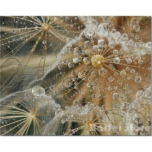 5D Diy Diamond painting Water Dandelion Plant full square round Diamond embroidery cross stitch kits wedding decorationsZP-2088