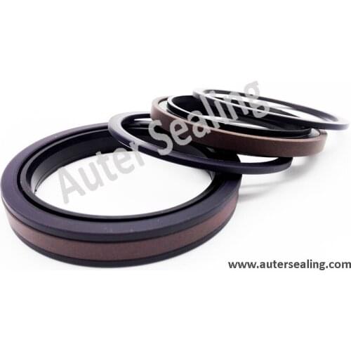 11 items DKBI PU+MATEL /GSJ PTFE+NBR HBTS / UR PU / SPGW PTFE+PA+NBR / TC NBR/ WR phenolic