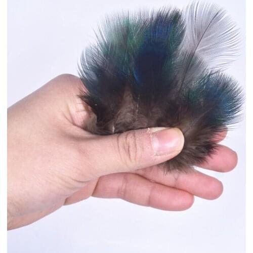 200pcs/Lot Colored Blue Peacock Feathers for Decoration 1-3"/3-8CM DIY Craft Handicraft Accessories Peacock Feather Decor Plumas