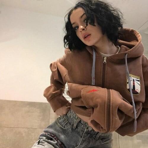 Zip-up Spring Streetwear Y2K brown Goth Grunge Oversized Hoodie Streetwear Embroidery Womens hip-hop harajuku Female Sweatshirts