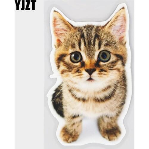 YJZT 10×16.8CM Cute Tabby Cat Funny Rear Windshield Bumper Decoration Decals Cartoon Car Sticker 21A-0210