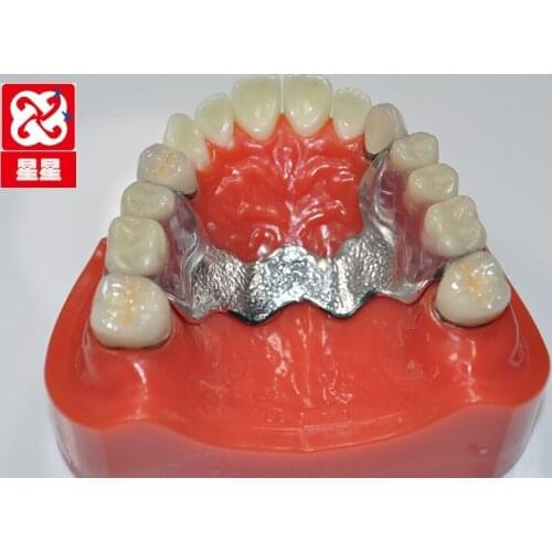 Crown teeth model standard sleeve detachable tooth model