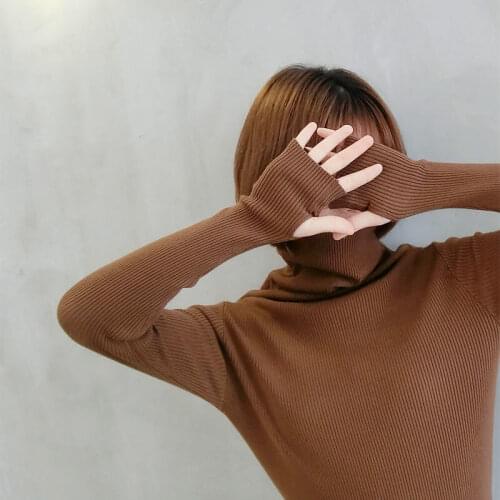 Autumn / Winter 2020 High Neck Sweater Womens Pullover Slim And Wear With Long Sleeve Slim Knit Bottoming Top Inside