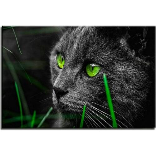 New square round full of diamond painting black cat green eyes 3d diamond art animal mosaic embroidery craft sticker