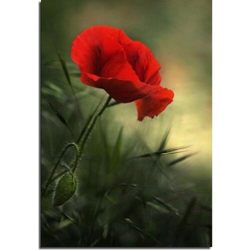 3D FLOWER 20X30cm Diamond Painting Embroidery Kit Square Drill Diamond Rhinestone Pasted Painting Unfinished Room Decoration