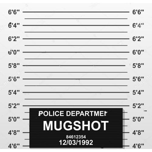 Custom Criminal Mug Shot Police Lineup Mugshot photography backgrounds High quality Computer print wall backdrops