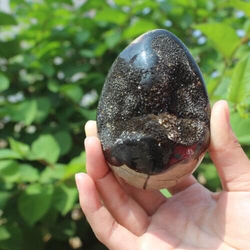450g Natural curvature of the furnishing articles Turtle grain stone egg Ball Septarian nodule Fossil Crystal Healing quartz 21