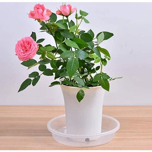 10Pcs Plastic Flower Pot Drip Trays Clear Round Shape Creative Saucers Decor