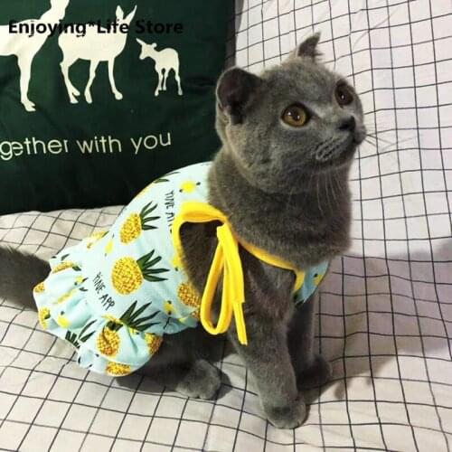 Cute Cat Vest Skirt Summer Pet Clothes for Cats Banana Pineapple Cat Dress Dog Couples Stephen Mascotas Costume