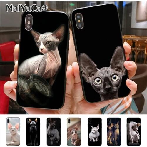 Sphynx cat Unique Silicon phone case for iphone 11 12 Pro 6S 6plus 7 7plus 8 8Plus X 5 5S case cover 12mini