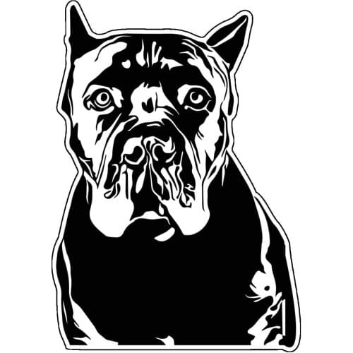 DasDecal Funny Dog Breed Car Sticker Personalized Decal Laptop Suitcase Skateboard Truck Motorcycle Auto Decoration PVC,12cm*8cm