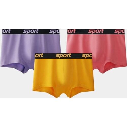 3XL Men Cotton Boxer Shorts Seamless Breathable Underwear Cueca Underpants Calzoncillos Hombre Elastic Slip Boxershorts Trunks