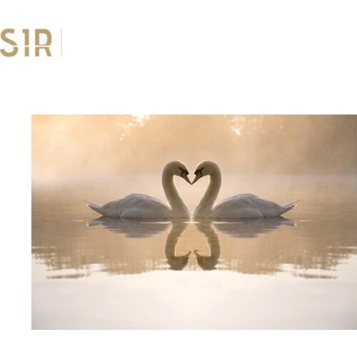 Swan Lake Architectural Decoration Canvas Painting Wall Art Picture Board Mural Nordic Posters and Prints Poster Love Sheets