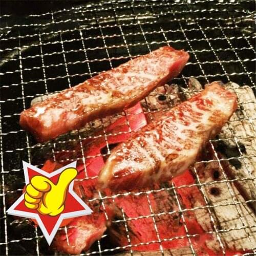 40%HOT5Pcs/Set Round Disposable BBQ Grill Rack Roast Net Grate Barbecue Baking Pan