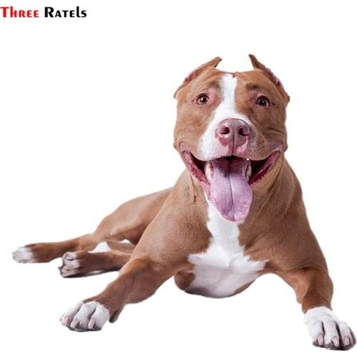Three ratels FTC-780#13X15.2CM American pit bull terrrier dog breed Sticker for Wall Window Suitcase Laptop Mirror DIY Vinyl