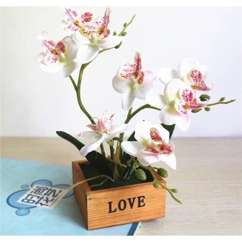 One Set Artificial Butterfly Orchid Potted Succulents Plants Home Garden Living Room Decoration Fake Plants
