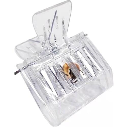 Transparent Plastic Beekeeping Clip Queen Bee Catcher Cage For Beekeeping Equipment Isolation Room Insectary Box Beekeeper Tools
