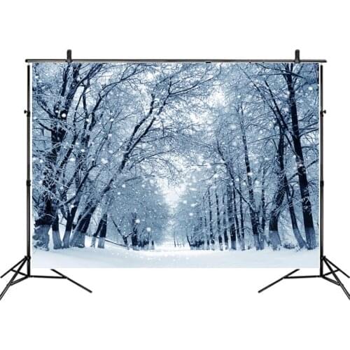 Landscape Backdrop Winter Blue Snow Scenery Party Photography Background Holiday Celebration Photo Booth Studio Decor