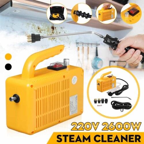 220V 2600W High Temperature Steam Cleaner For Hood Air Conditioner Kitchen Tool Steaming Cleaner Cleaning Machine