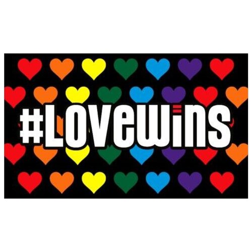 Gay Pride Flag Gay Hashtag Love Wins Flag hot sell goods 3X5FT 150X90CM Custom Banner brass metal holes