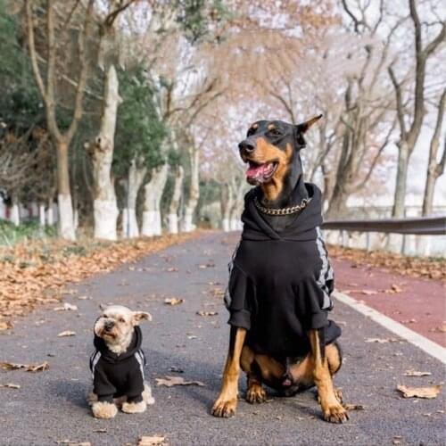 Fashion Dog Clothes Pet Puppy Reflective Hoodie Winter Warm Jacket Coat for Small Medium Large Dogs French Bulldog Pug TLC09