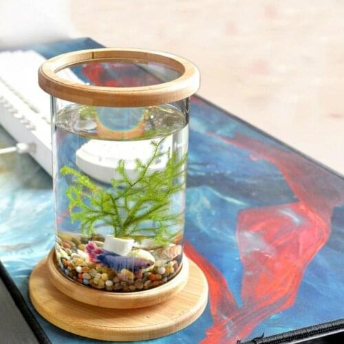 KITPIPI Home Aquariums