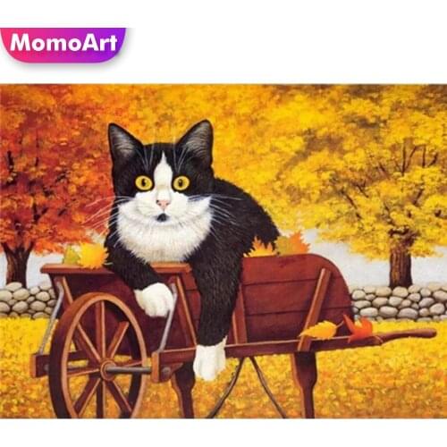 MomoArt Diamond Embroidery Cat Sale Diamond Painting Animal Full Square Round Drill Crafts Mosaic New Arrival Home Decoration