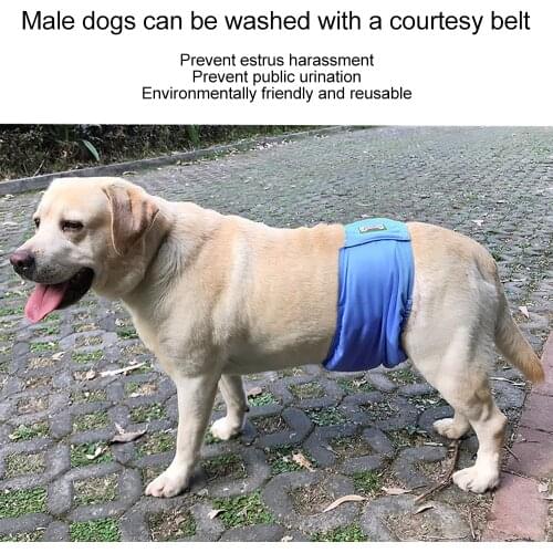 Male Dog Physiological Belt Anti-harassment Dog Diaper Belly Protector Teddy Gold Waterproof Bottom Underwear Pet Hygiene Pants