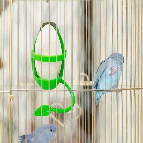 Portable Pets Parrots Feeders Plastic Food Holder Feeding On Cage Convenient Feeder Supplies For Home Pets Bird Feeders Supplies