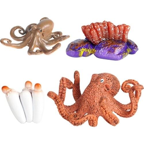 1 Set Marine Creature Set Octopus Set Life Cycle Educational Prop